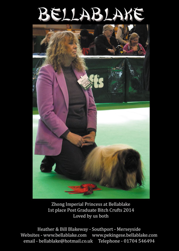Bellablake Pekingese