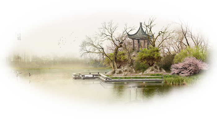 Bellablake Pekingese